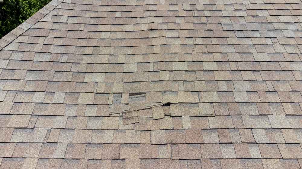 roof repair