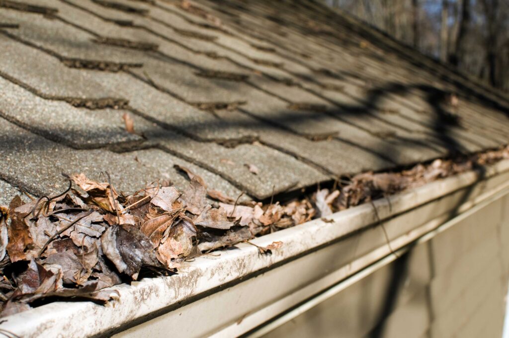 Trusted Roofing Problem Expert in Utah
